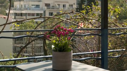 Panorama triple room balcony with view of acropolis.jpg